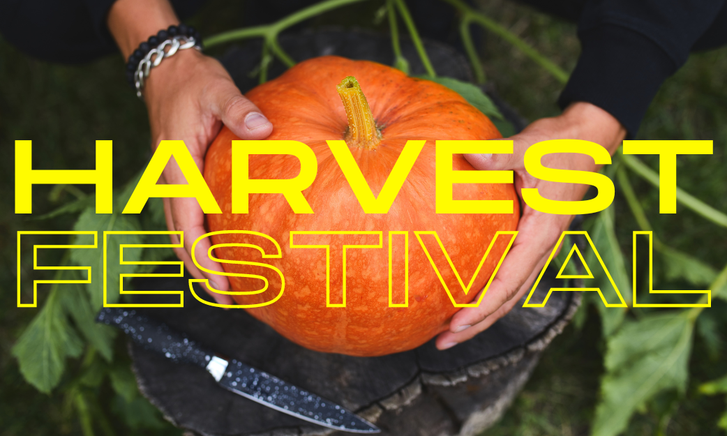Harvest Festival: Wristbands